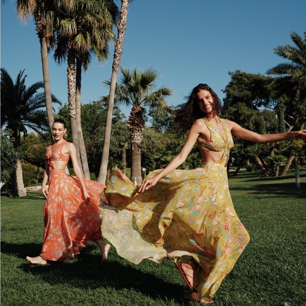 My Beachy Side Begonia Butterflies Maxi Dress with Cutout and Embroidery - Picture 8 of 8